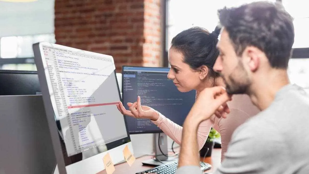 Individuals specializing in web development